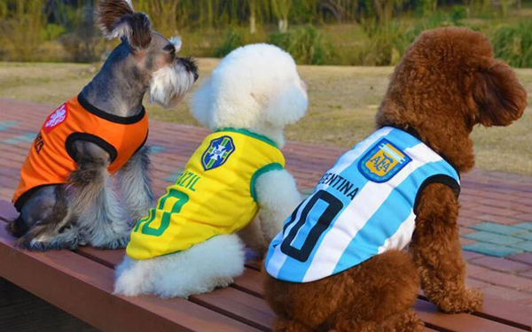 How About A World Cup Dog Jersey?