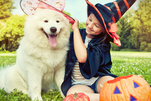 Tips for Halloween pet safety
