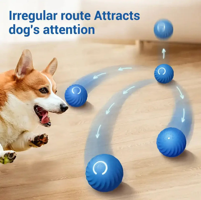 Small Interactive Dog Ball