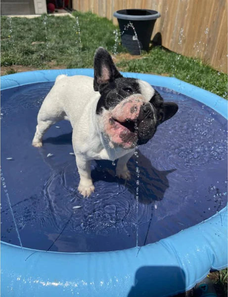 AquaPaw™ - Dog Sprinkler Pool