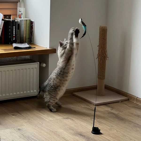 Interactive Cat Toy Set with Bird Simulation