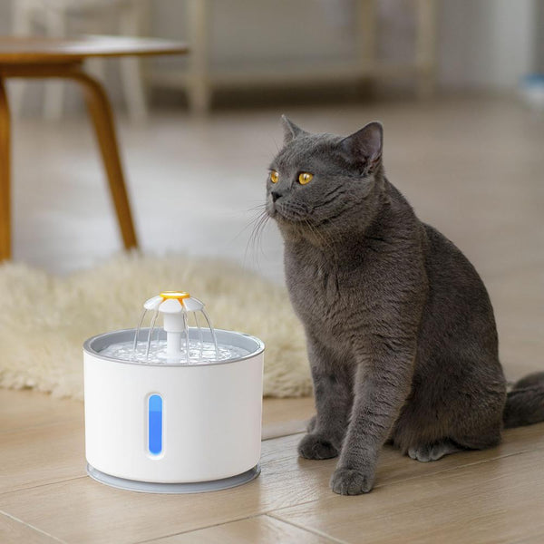 2.4L Automatic Cat Water Fountain LED.