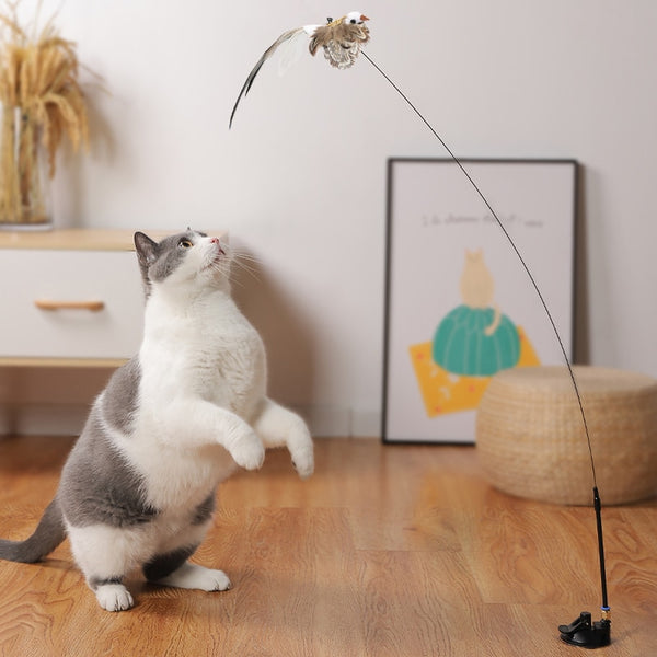 Funny Feather Bird with Bell Cat Stick Toy.