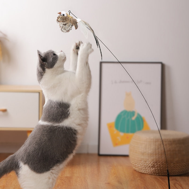 Funny Feather Bird with Bell Cat Stick Toy.