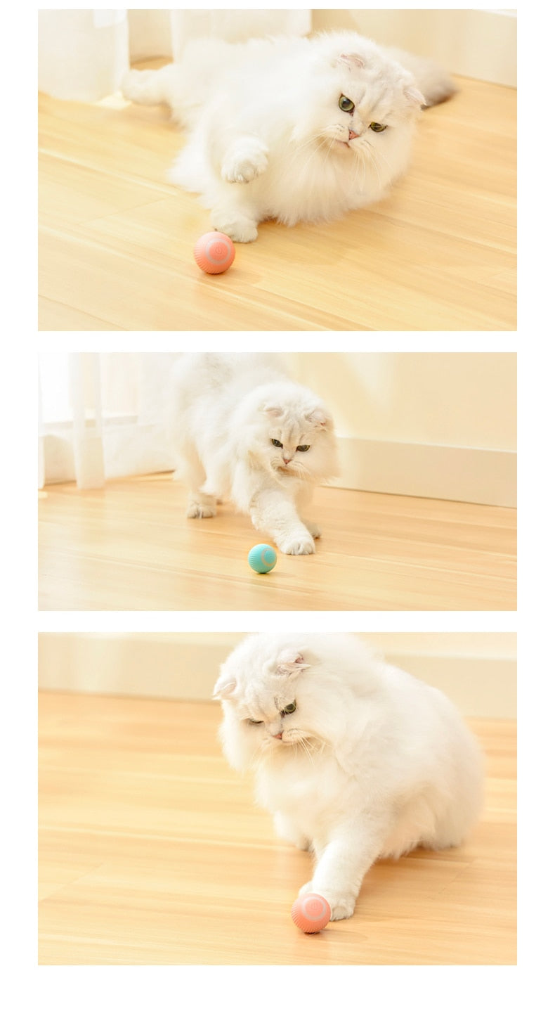 Automatic Rolling Ball For Cats.